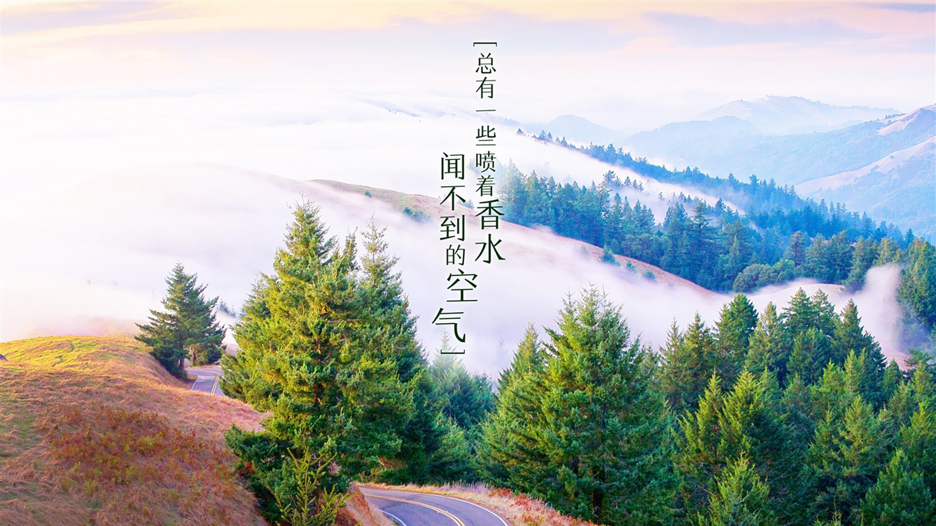中国篮球联赛观众行为特征及营销策略，篮球比赛观众席视角