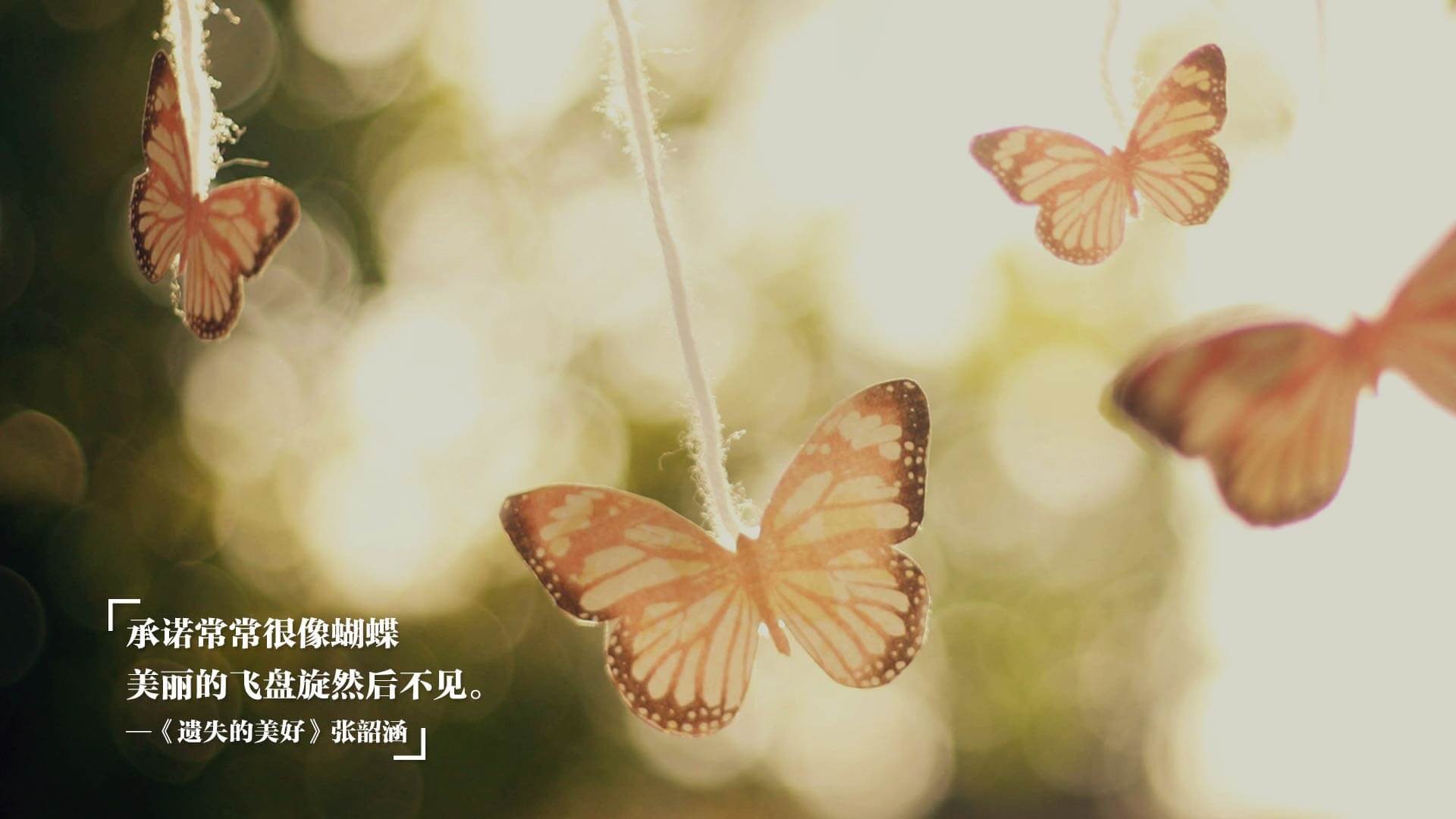 奥尔韦拉3米跳板决赛展现精湛技术，2020奥运3米跳板