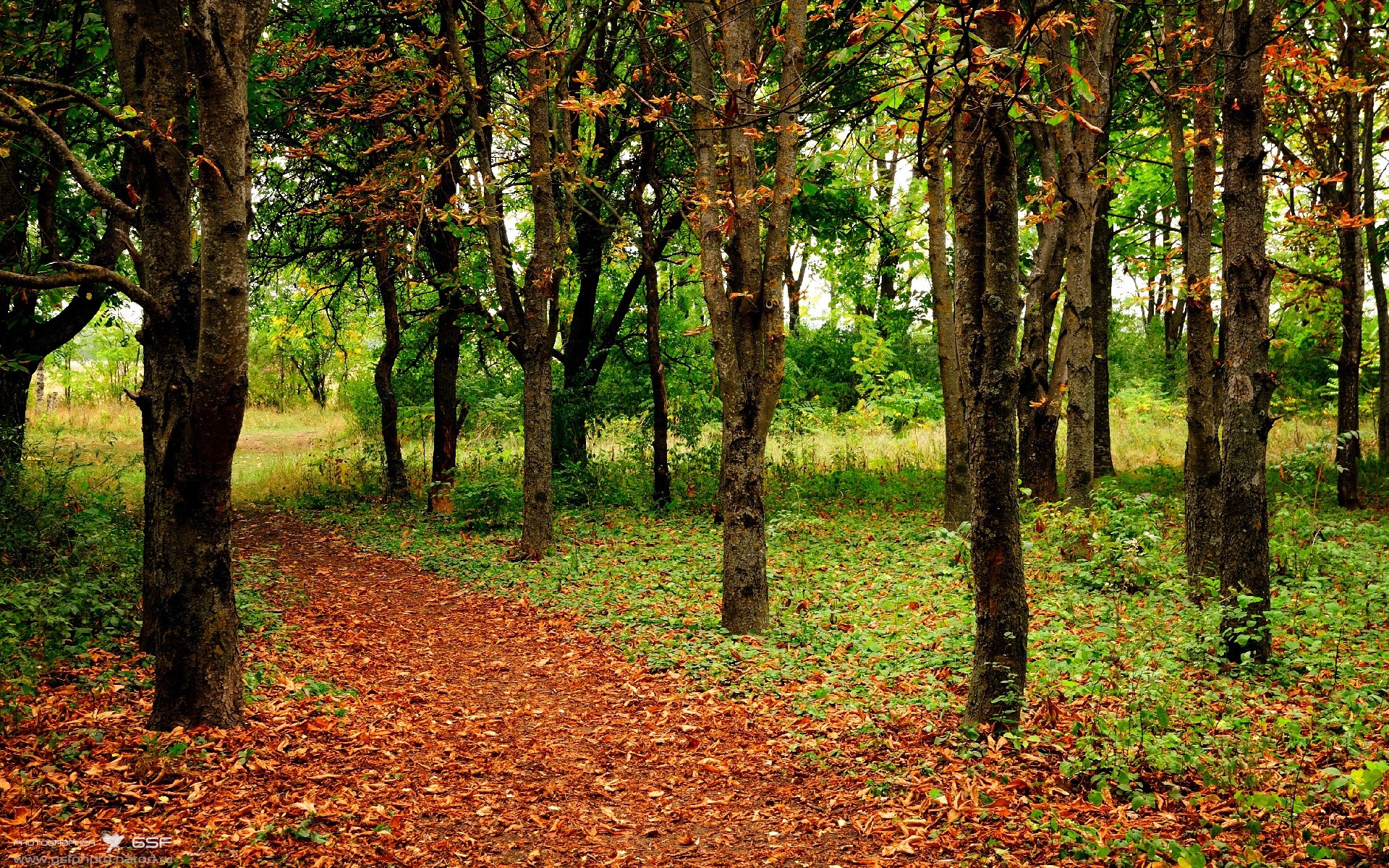 媒体评价球员成长速度快称其或成未来国家队核心中坚力量，球员表现
