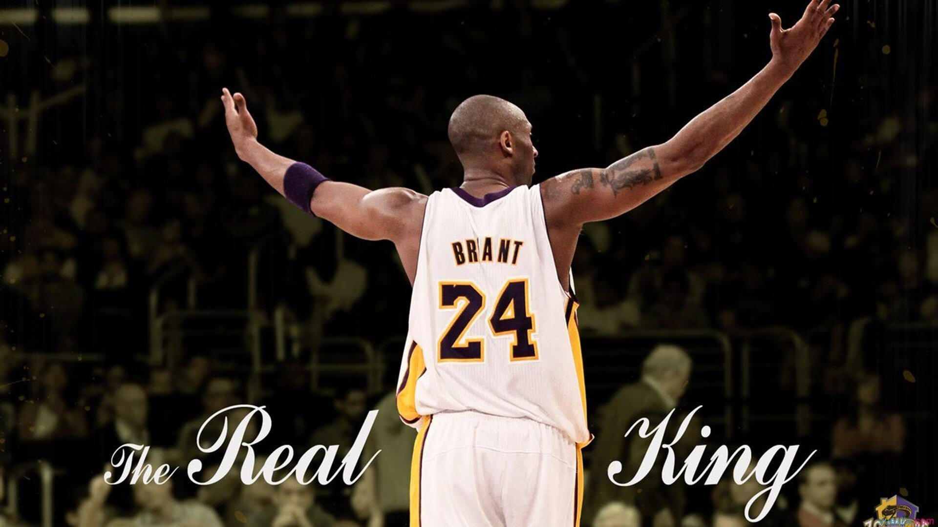 _魔术队逆转比赛，士气激增_，魔术队比赛视频