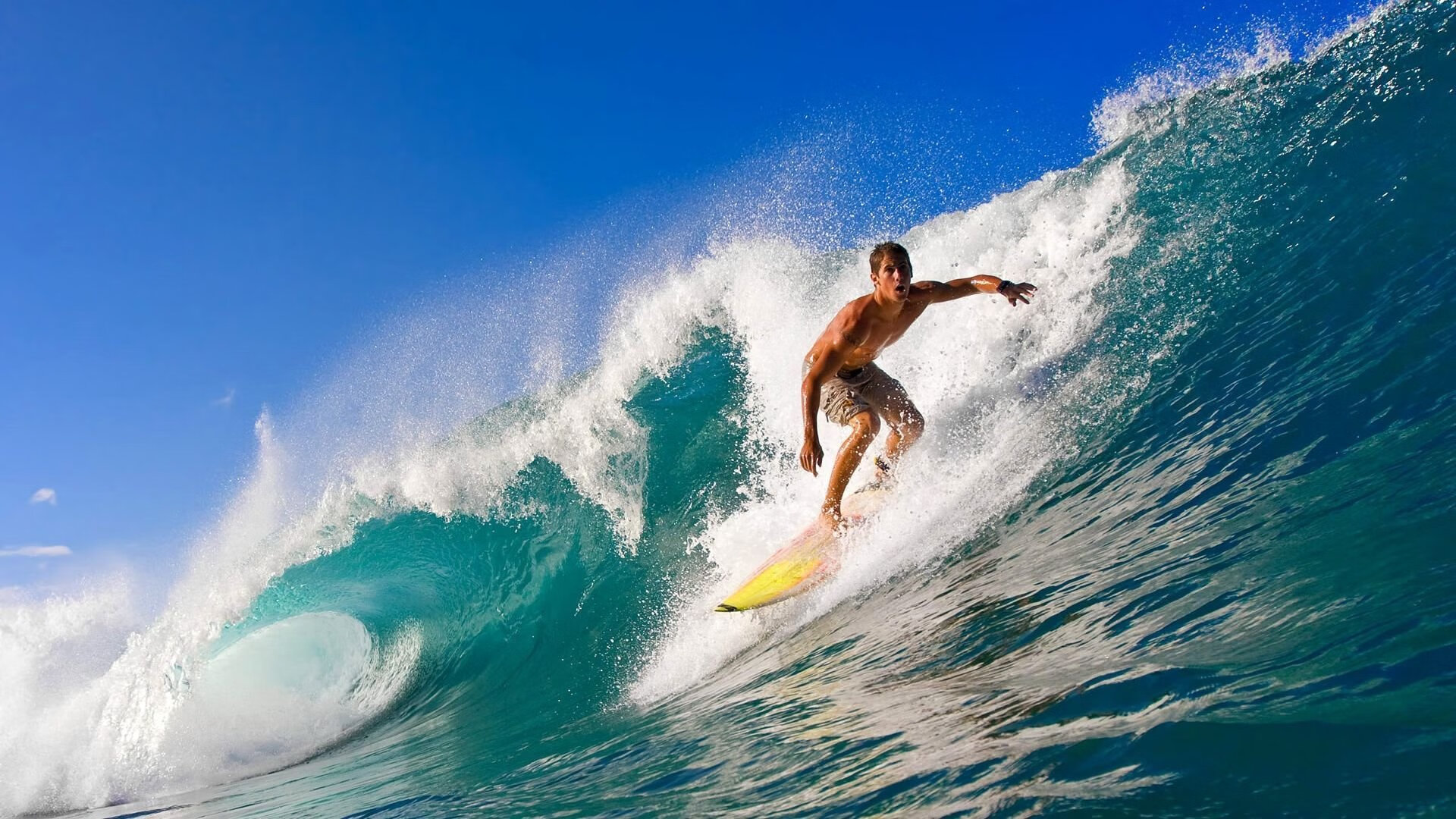 爱游戏中国官方网站平台-利物浦在2024年英超联赛中获得亚军，利物浦最近一次英超冠军